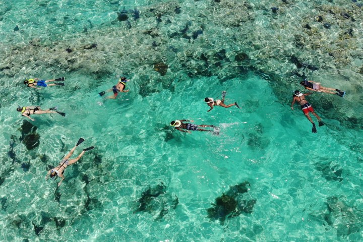 a group of people swimming in the water