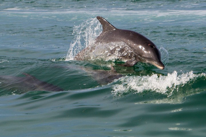 a person riding a wave on a surfboard in the ocean