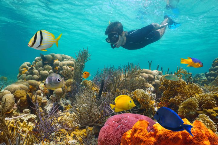 key west reef snorkel trips (1)