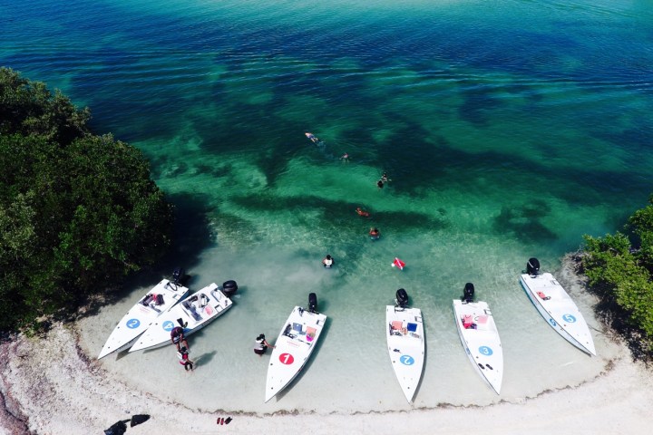 a group of people riding skis on a body of water