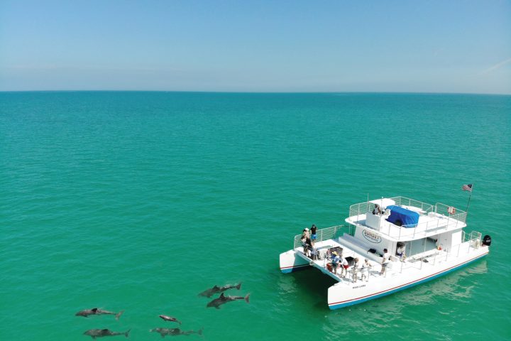 dolphin tours in key west florida
