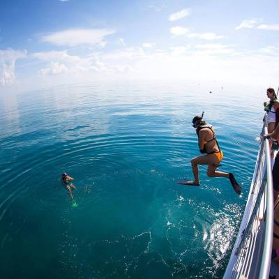 a person riding a wave on a surfboard in the water