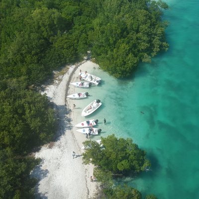 a train traveling down tracks next to a body of water surrounded by trees