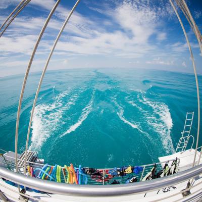 a close up of a boat