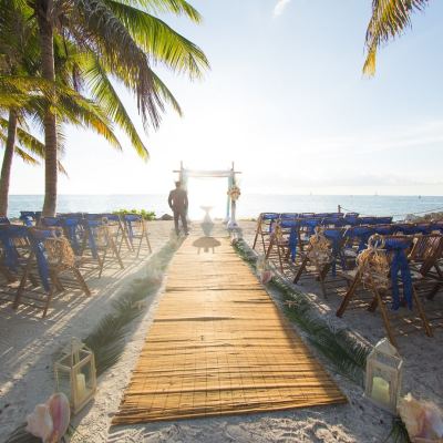 a group of people on a beach with a palm tree