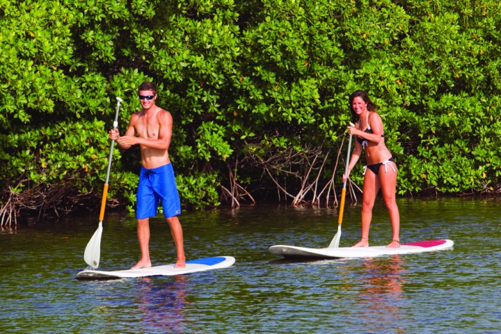 a group of people that are standing in the water